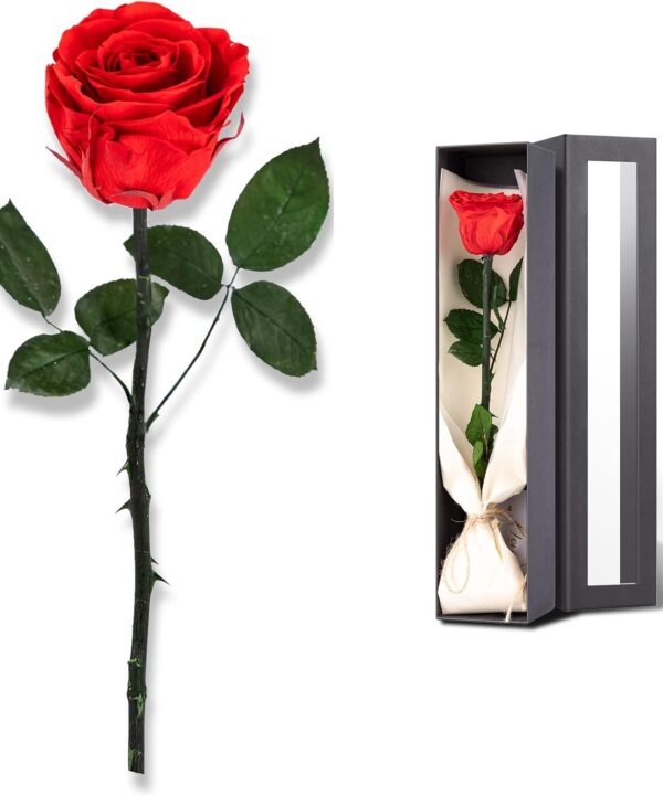 Flowers for Delivery Prime, Preserved Roses Flower Gifts for Women, Real Roses Single Rose Gifts for Her, Mom Birthday Gifts from Daughter, Valentines Flowers Red Roses