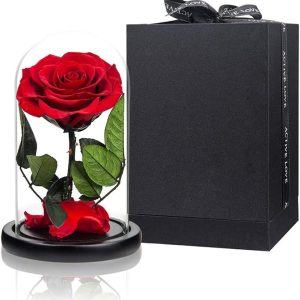 Preserved Roses Red Roses in Glass Dome, Medium, Preserved Flowers for Mothers Day, Gifts for Women