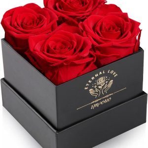 Preserved Rose, Mothers Day Roses in a Box, Forever Preserved Roses Gift for Mom, Birthday Gifts for Women/Mom/Girlfriend/Wife/Grandma/Her