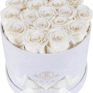 17 Flowers in a Luxury Suede Box, Birthday Gifts for Women, Preserved Flowers, Mothers Day Roses Gift for Mom, White