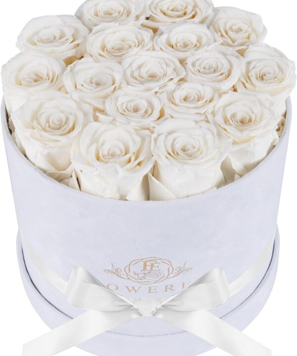 17 Flowers in a Luxury Suede Box, Birthday Gifts for Women, Preserved Flowers, Mothers Day Roses Gift for Mom, White