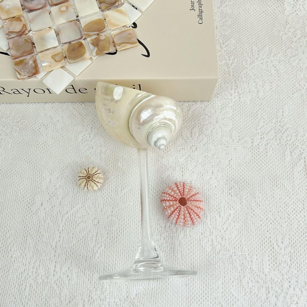 2Pcs Seashell Wine Glasses Wedding Wine Glasses Conch Goblet Martini Cocktail Glass Cup for Birthday Wedding Beach Bridesmaids Anniversary Party(A)