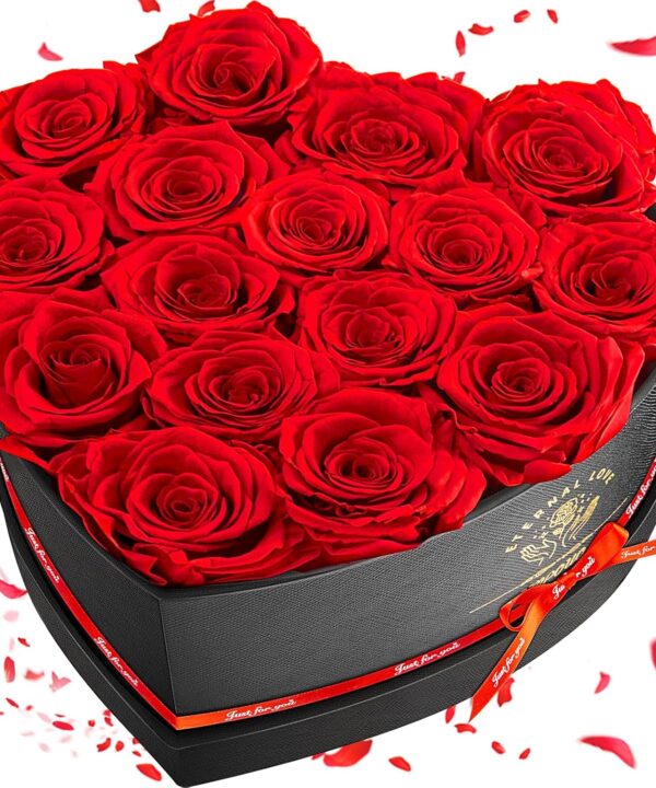 16-Piece Preserved Rose Birthday Gifts for Women, Eternal Rose Preserved Flowers for Delivery Prime Mothers' Day, Valentine's Day, Christmas, Birthday - Red Roses