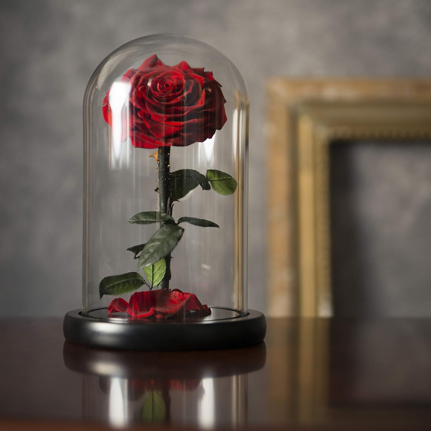 Forever Preserved Rose – Eternal Rose in Glass Dome – Beauty and The Beast Rose for Mom – Fresh Flowers in Glass (Red, 9 Inch)