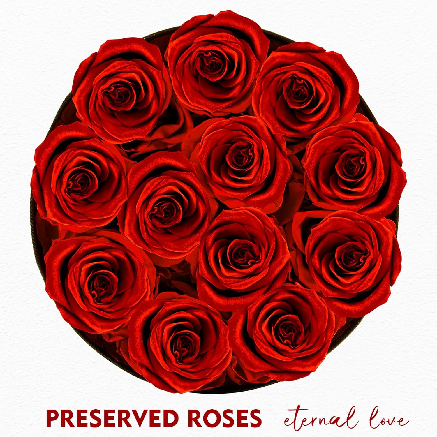 Forever Flowers,12 Red Roses in A Box, Real Preserved Roses, Birthday Gift for Women, Mother’s Day, Anniversary Day- Red Roses