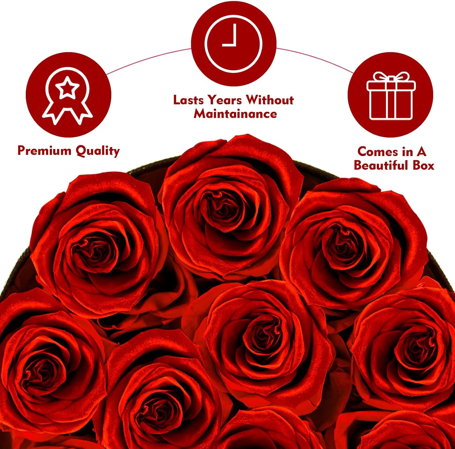 Forever Flowers,12 Red Roses in A Box, Real Preserved Roses, Birthday Gift for Women, Mother’s Day, Anniversary Day- Red Roses