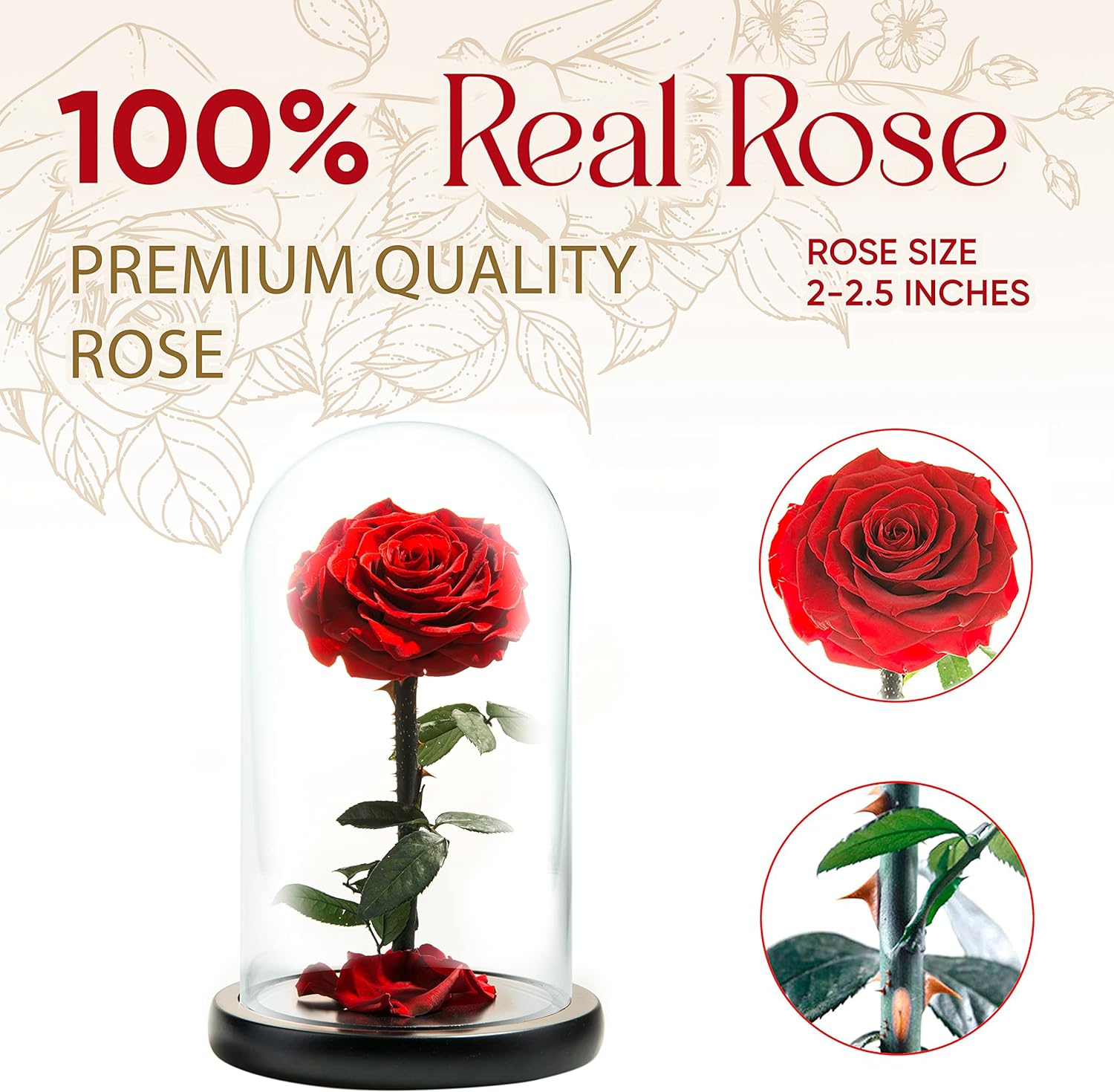 Forever Preserved Rose – Eternal Rose in Glass Dome – Beauty and The Beast Rose for Mom – Fresh Flowers in Glass (Red, 9 Inch)