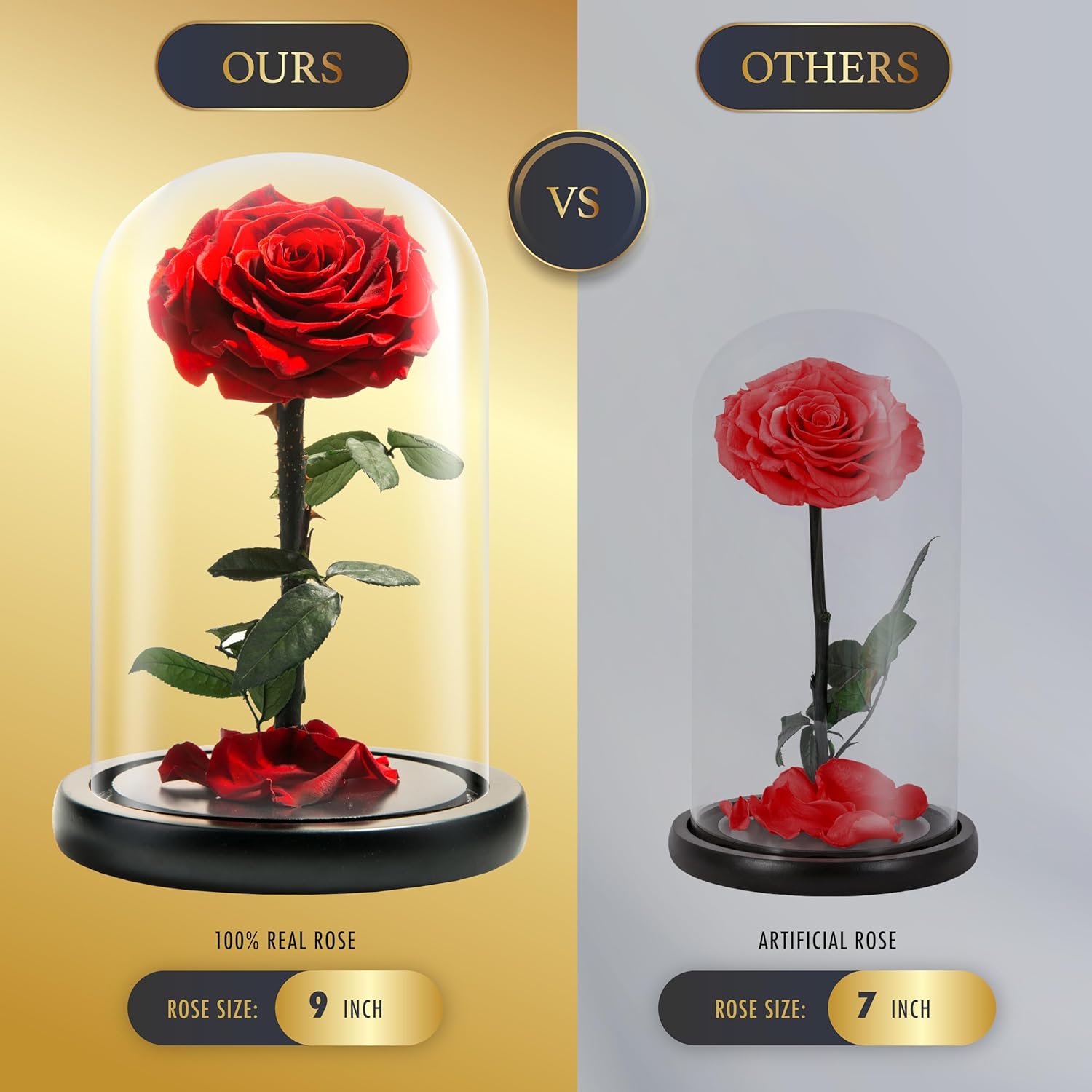 Forever Preserved Rose – Eternal Rose in Glass Dome – Beauty and The Beast Rose for Mom – Fresh Flowers in Glass (Red, 9 Inch)
