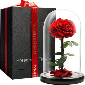 Forever Preserved Rose - Eternal Rose in Glass Dome - Beauty and The Beast Rose for Mom - Fresh Flowers in Glass (Red, 9 Inch)