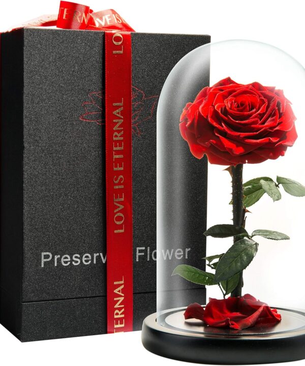 Forever Preserved Rose - Eternal Rose in Glass Dome - Beauty and The Beast Rose for Mom - Fresh Flowers in Glass (Red, 9 Inch)