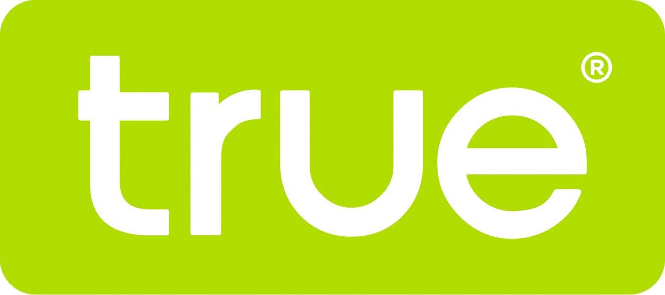 True Metro Insulated Wine Tote with Pockets, Wine Bottle Carrier and Picnic accessory set, wine glasses set of 2, Napkins, Corkscrew, and Bottle stopper, Black, Set of 1