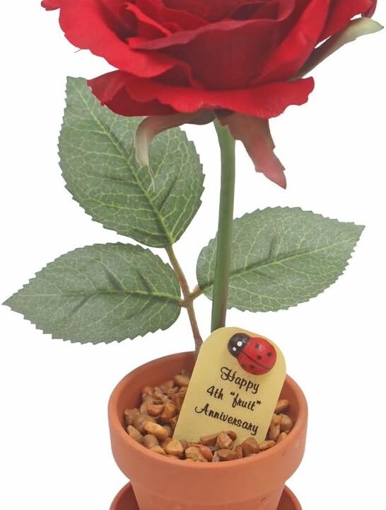 JustPaperRoses – Fruit Anniversary Desk Gift – Red Apple – 4th Year JustDeskRoses in Terra Cotta Pot – Handmade 4th Wedding Gift for Him or Her, Artificial Fruit Rose Decoration