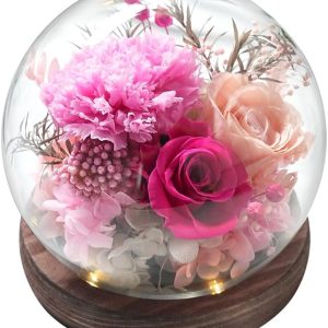Forever Rose Birthday Gifts for Women, Eternal Flowers for Delivery Prime, Preserved Pink Rose Flowers in Glass Dome for Mom Grandma Wife Girlfriend