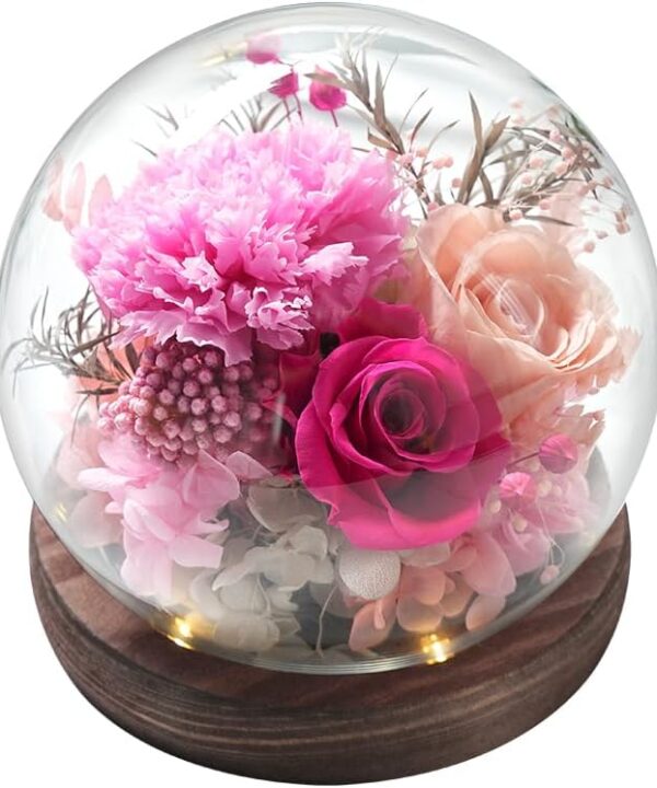 Forever Rose Birthday Gifts for Women, Eternal Flowers for Delivery Prime, Preserved Pink Rose Flowers in Glass Dome for Mom Grandma Wife Girlfriend