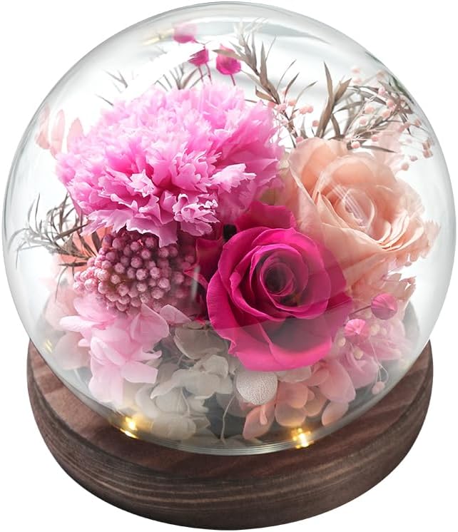 Forever Rose Birthday Gifts for Women, Eternal Flowers for Delivery Prime, Preserved Pink Rose Flowers in Glass Dome for Mom Grandma Wife Girlfriend