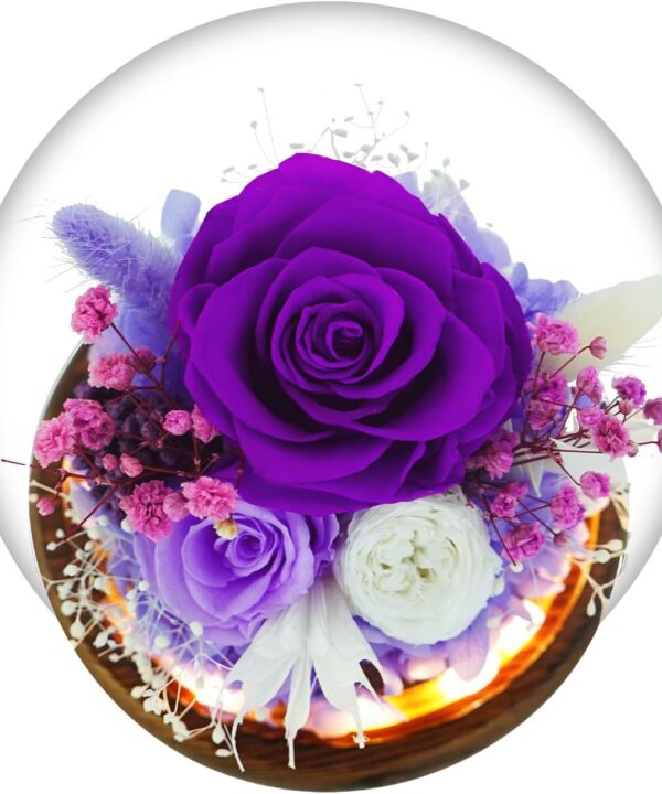 GLAMOUR BOUTIQUE Preserved Flowers Rose in Glass Dome w/Light - Long Lasting Flowers, Flower Gifts for Women for Any Occasion - Home Decor, Comes w/Thick Gift Box - Glass Rose Flowers - Purple