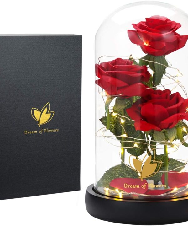 Christmas Flower Gifts for Women,Beauty and The Beast Rose in Glass Dome with 2 Lights Mode,Light up Rose Anniversary Romantic Gift for her,Birthday Gifts for Women,Mom,Wife,Girlfriend,Silk Red Rose
