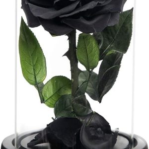 NATROSES Handmade Preserved Roses in Glass Dome, Black Roses Roses, Preserved Flowers Gifts for Women, Mothers Day Flowers