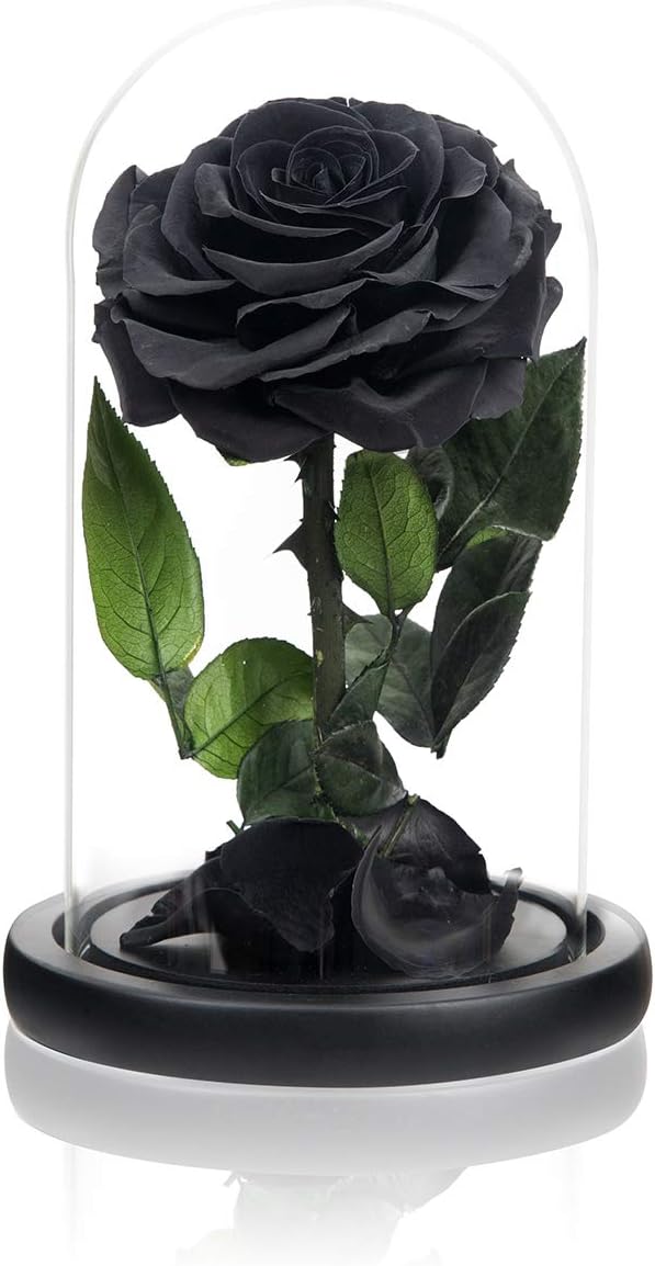 NATROSES Handmade Preserved Roses in Glass Dome, Black Roses Roses, Preserved Flowers Gifts for Women, Mothers Day Flowers