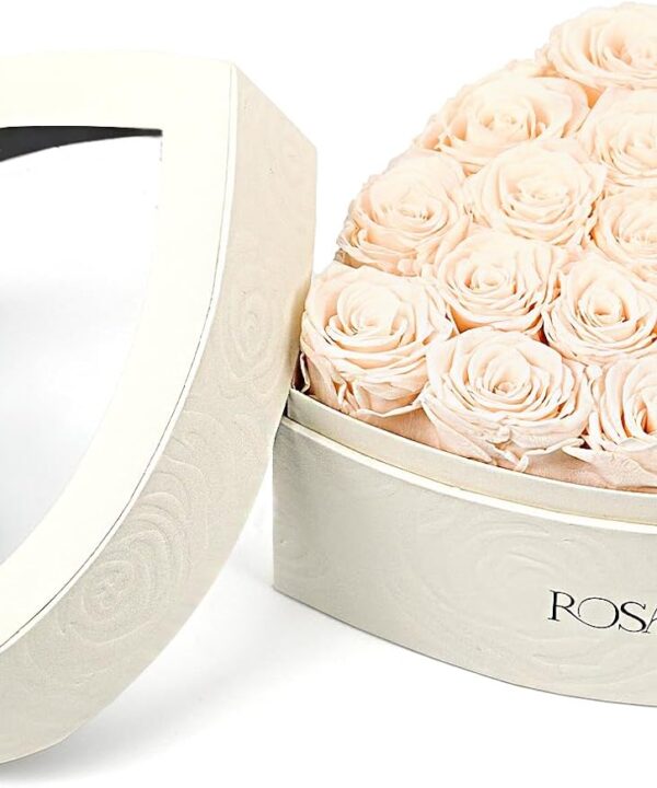 Rosaura Heart-Shaped Preserved Roses Gift Box - Real Forever Flowers for Birthday, Valentine's & Mother's Day (Champagne, 16 roses)