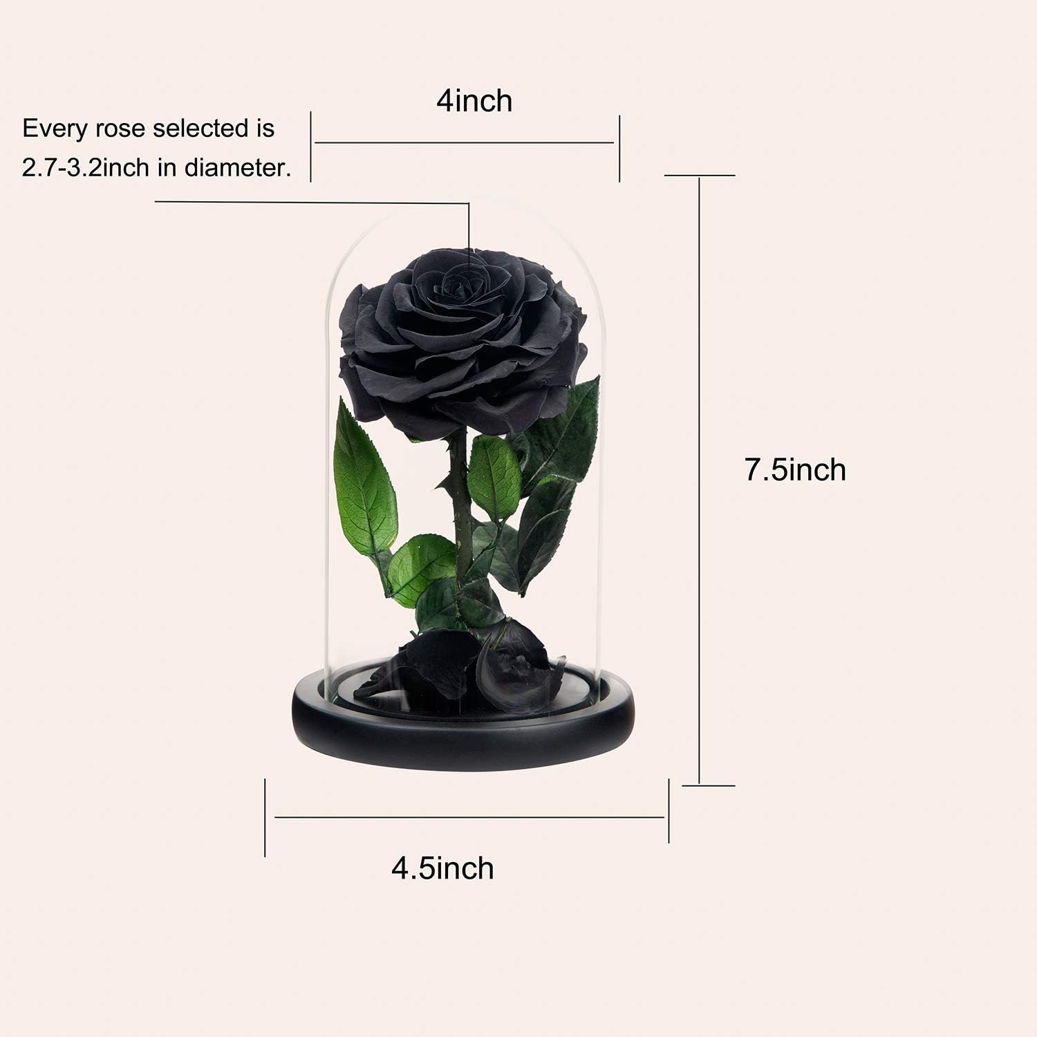 NATROSES Handmade Preserved Roses in Glass Dome, Black Roses Roses, Preserved Flowers Gifts for Women, Mothers Day Flowers
