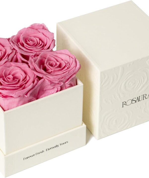 Rosaura 4-Piece Eternal Preserved Roses & Flowers Gift Box - Forever Lasting Real Roses, Preserved Flowers for Valentine's Day Pink