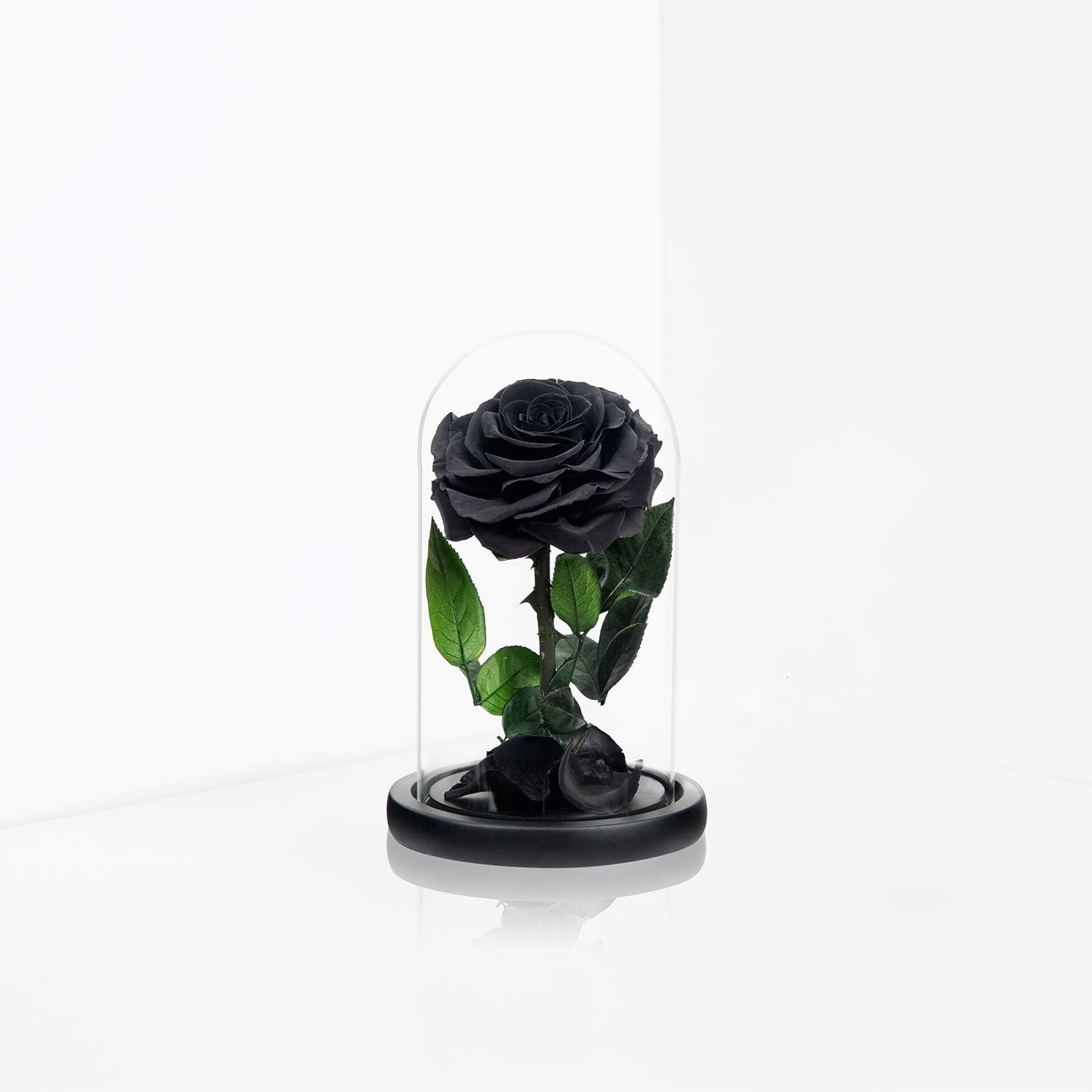 NATROSES Handmade Preserved Roses in Glass Dome, Black Roses Roses, Preserved Flowers Gifts for Women, Mothers Day Flowers