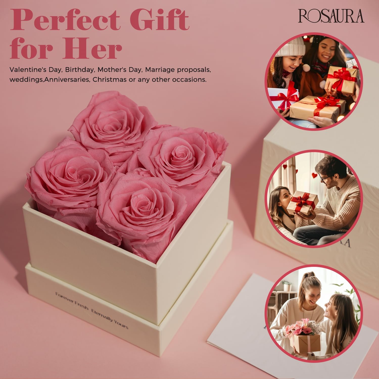 Rosaura 4-Piece Eternal Preserved Roses & Flowers Gift Box – Forever Lasting Real Roses, Preserved Flowers for Valentine’s Day Pink