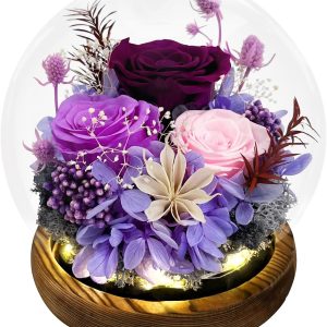 FIACO Gifts for Mom Women Birthday Preserved Flowers in Glass Dome Forever Fresh Flowers for Delivery Prime Long-Lasting Eternal Roses Gifts for Grandma Sister Daughter Wife Her Girlfriend Purple