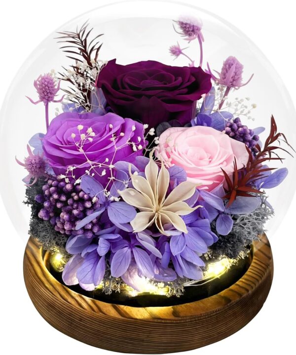 FIACO Gifts for Mom Women Birthday Preserved Flowers in Glass Dome Forever Fresh Flowers for Delivery Prime Long-Lasting Eternal Roses Gifts for Grandma Sister Daughter Wife Her Girlfriend Purple