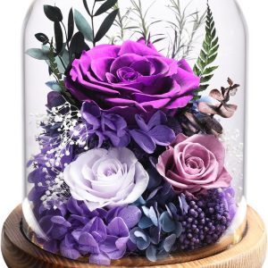Flowers for Delivery Preserved Rose Gifts for Women,Long-Lasting Real Flowers in Glass Dome, Birthday Gifts for Women Mom Friend(Purple Rose)