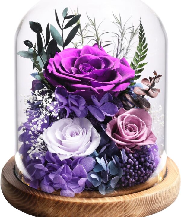 Flowers for Delivery Preserved Rose Gifts for Women,Long-Lasting Real Flowers in Glass Dome, Birthday Gifts for Women Mom Friend(Purple Rose)