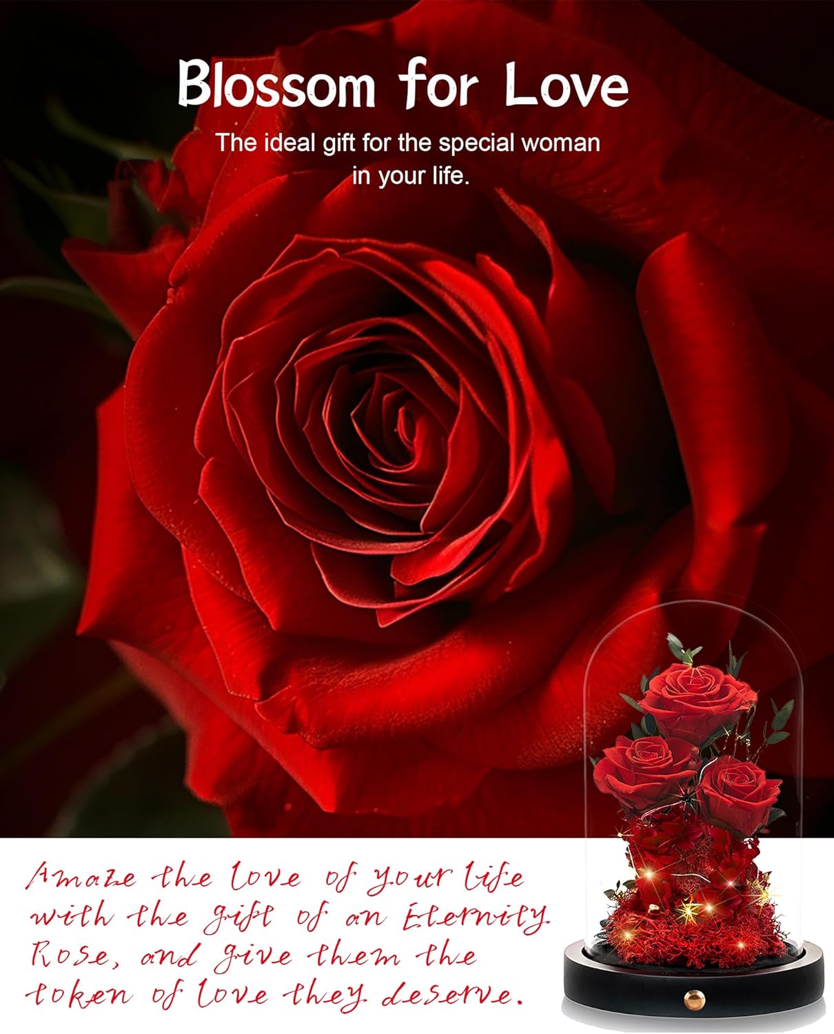 Christmas Flowers Roses Gifts for Mom,Forever Real Preserved Roses in Glass Dome,Christmas for Wife Girlfriend Women Best Friend Grandma/Red Rose