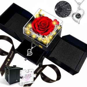 Preserved Real Rose-Eternal Flowers Rose Mothers Day for Mom Women Her Wife Girlfriend on Birthday Valentines with I Love You Necklace 100 Languages Romantic Gift
