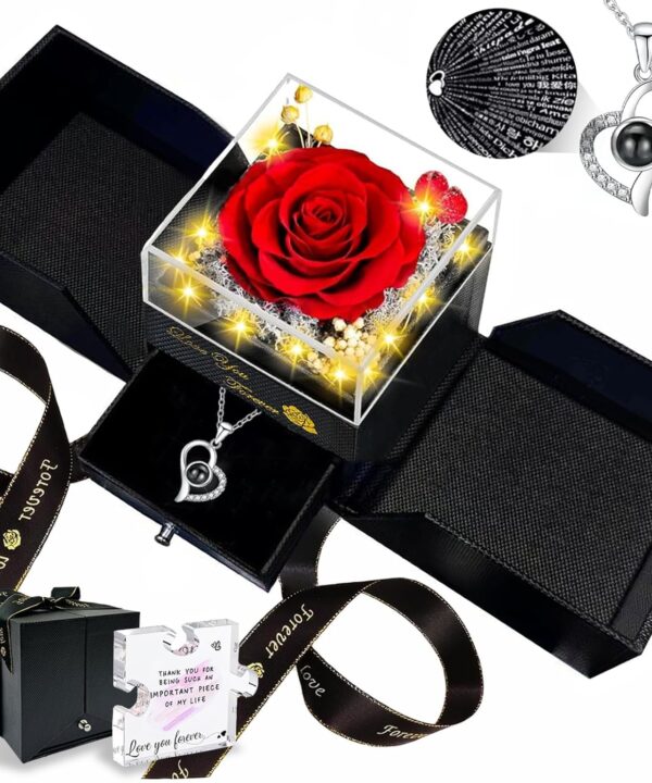 Preserved Real Rose-Eternal Flowers Rose Mothers Day for Mom Women Her Wife Girlfriend on Birthday Valentines with I Love You Necklace 100 Languages Romantic Gift
