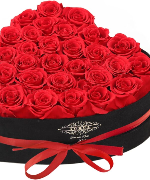 Roses Gifts for Mom,Forever Preserved Flowers Roses in a Heart Shape Box,Anniversary Birthday for Wife Women Grandma Best Friend Daughter/28Pcs Red
