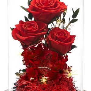 Christmas Flowers Roses Gifts for Mom,Forever Real Preserved Roses in Glass Dome,Christmas for Wife Girlfriend Women Best Friend Grandma/Red Rose
