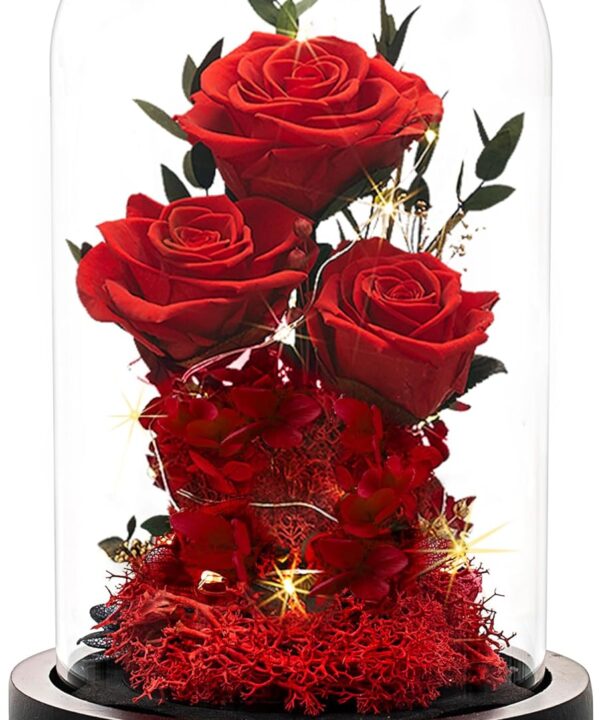 Christmas Flowers Roses Gifts for Mom,Forever Real Preserved Roses in Glass Dome,Christmas for Wife Girlfriend Women Best Friend Grandma/Red Rose