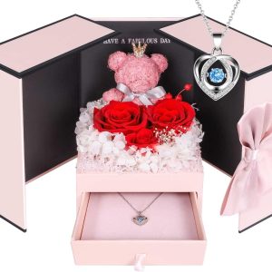 ADDWel Preserved Rose Gifts for Her, Forever Real Flowers with Sterling Silver Necklace for Wife Girlfriend Mom on Birthday Anniversary