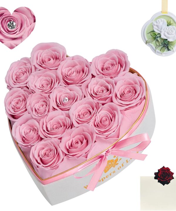 Luxury Preserved Roses – Forever Real Roses Flowers for Delivery in a White Box, Preserved Flowers Birthday Gifts for Women Mom Wife, Ideal for Anniversary (Pink 16 Roses, 16 Roses)