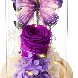 Forever Flowers Preserved Roses Prime Delivery, Romantic Gifts with Light in Glass Dome for Mom Grandma Wife Girlfriend, Purple Flower for Christmas, Valentine's Day,.Anniversary, Birthday
