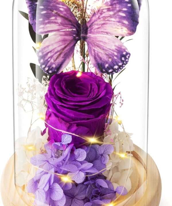Forever Flowers Preserved Roses Prime Delivery, Romantic Gifts with Light in Glass Dome for Mom Grandma Wife Girlfriend, Purple Flower for Christmas, Valentine's Day,.Anniversary, Birthday