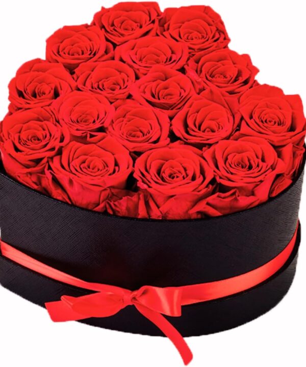 Preserved Flowers Heart Shape Box 16 Preserved Roses, Immortal Red Roses Gift for Her Him, Eternal Fresh Flowers for Fathers Day Men Valentines Day Gifts for Dad