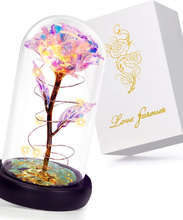 Childom Birthday Gifts for Women,Christmas Rose Gifts for Mom,Women,Her,Wife,Grandma,Light Up Rose in Glass Dome,Colorful Rainbow Flowers for Delivery Christmas,Anniversary,Valentines Day,Mothers Day