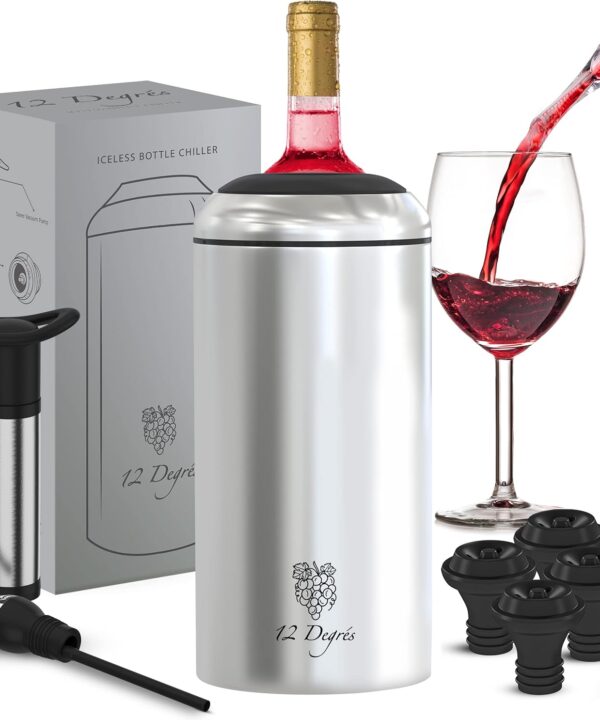 Wine Chiller Set - Perfect Wine Gifts for Women & Men - Stainless Steel Insulated Wine Cooler with Wine Pump, Aerator & 4 Stoppers (Silver)