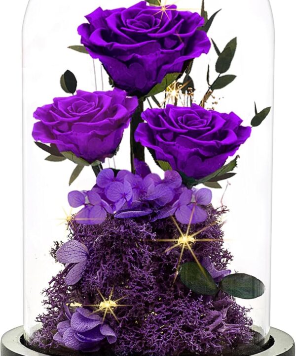 Christmas Flowers Roses Gifts for Mom,Forever Real Preserved Roses in Glass Dome,Christmas Anniversary Thanksgiving Gifts for Wife Girlfriend Women Best Friend Grandma/Purple Rose