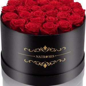 NATROSES 27 Piece Forever Preserved Roses in a Box, Preserved Flowers for Delivery Birthday, Flowers Gifts for Mothers Day, Red