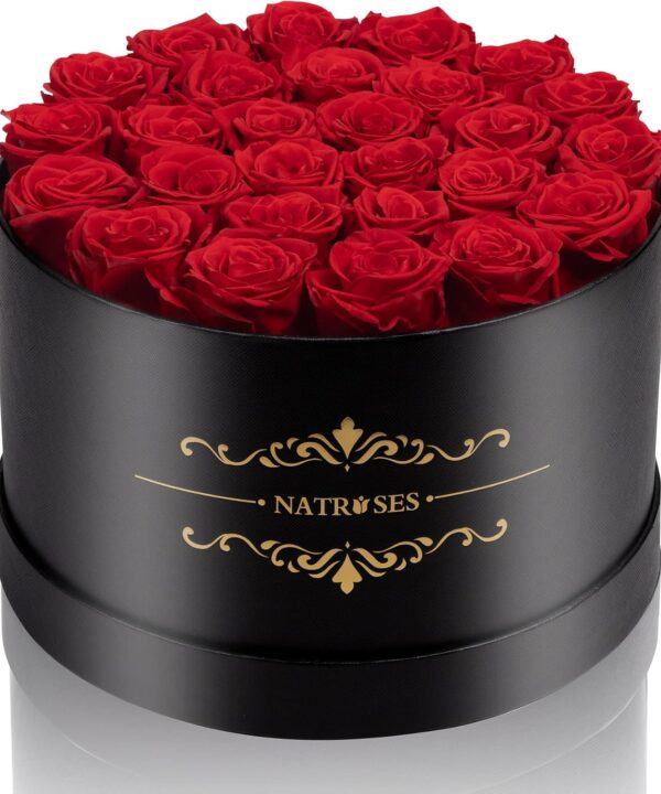 NATROSES 27 Piece Forever Preserved Roses in a Box, Preserved Flowers for Delivery Birthday, Flowers Gifts for Mothers Day, Red