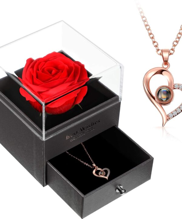 Hicarer Necklace Gift for Girlfriend I Love You in 100 Languages Projection Pendant Necklace with Preserved Red Rose Flowers in Box for Women Mom Wife on Anniversary Birthday