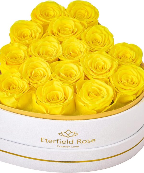 Eterfield Forever Flowers in Heart Shape Box, Preserved Roses That Last a Year Preserved Flowers Birthday Gifts for Her Mom Women Wife Anniversary Valentine's Day Mother's Day (16 Roses, Yellow)